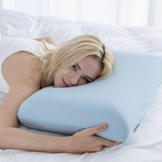 EvoFurnish Pillow
