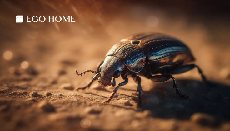 How to Clean Bed Bugs from Your Mattress