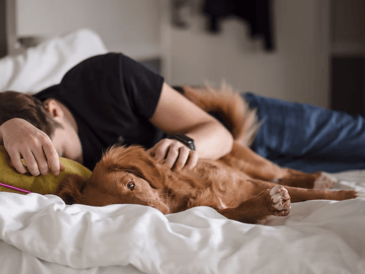 How to Choose Your Ideal Mattress: The Complete Guide for Side Sleepers - EGOHOME