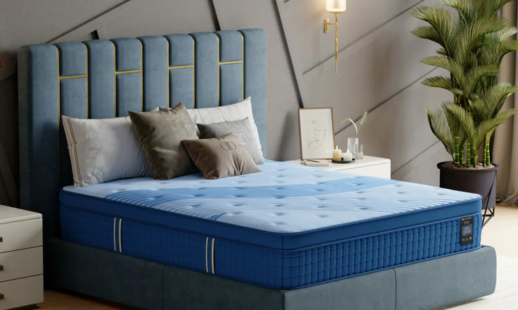 EGOHOME New Arrivals