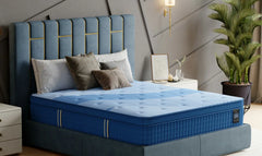 EGOHOME New Arrivals