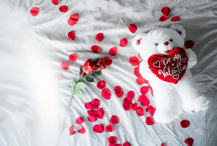 Love is in the Air: The 2024 Ultimate Valentine's Day Gift Guide with EGO HOME - EGOHOME