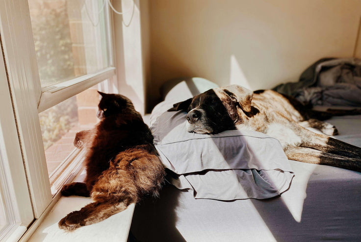 Is Memory Foam Hot? Tips on How to Stay Cool at Night - EGOHOME