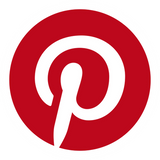 Social Icon 4