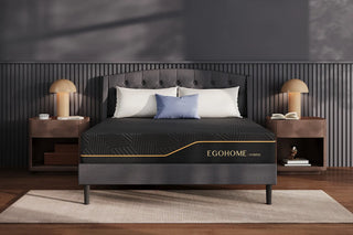 EGOHOME Black Hybrid 12"