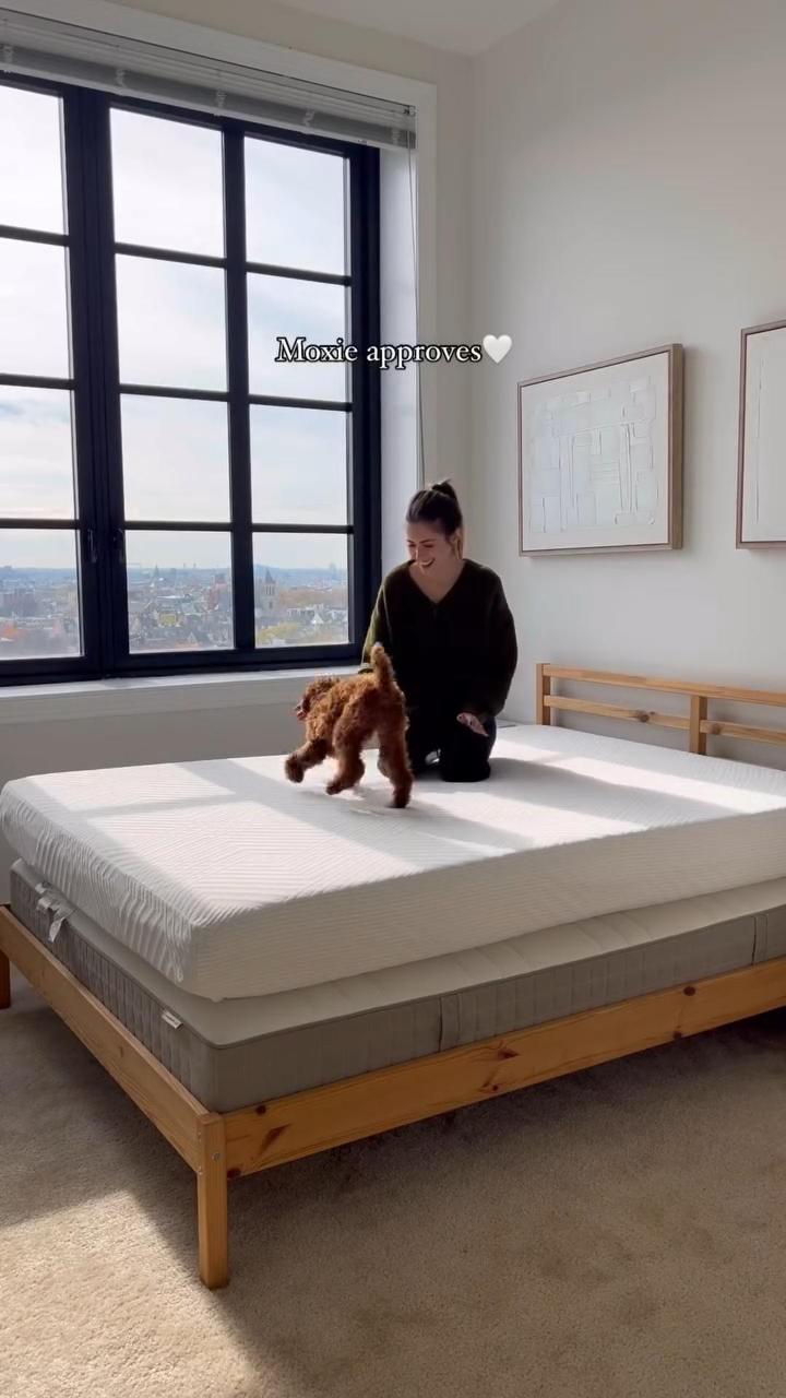 EGOHOME Dreamer Foam